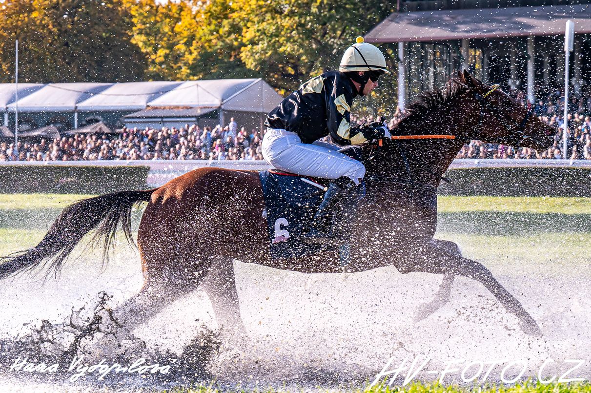 DSC_2315 kopie.jpg